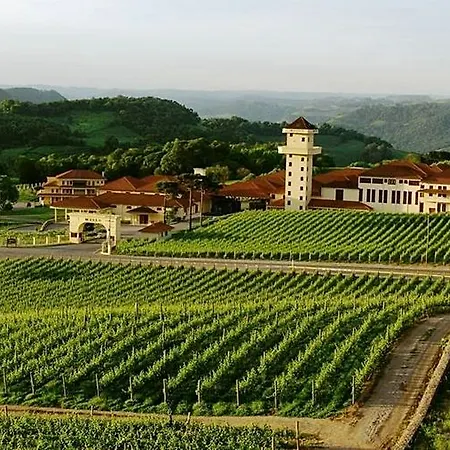 Spa Do Vinho Condominio Vitivinicola 
